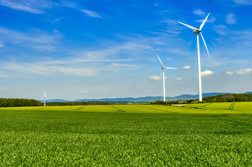 Clean wind energy in green rural environment