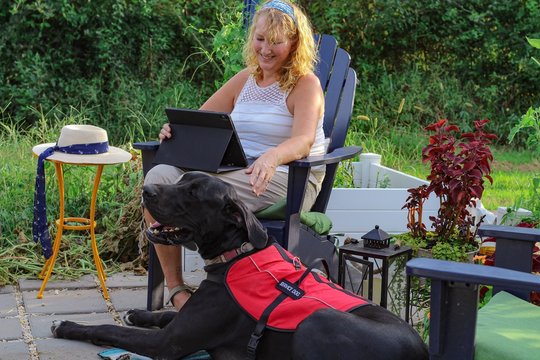 Older adult Caucasian woman with mobility issue is able to enjoy the outdoors on her patio with the help of her loyal and attentive Great Dane service dog by her side