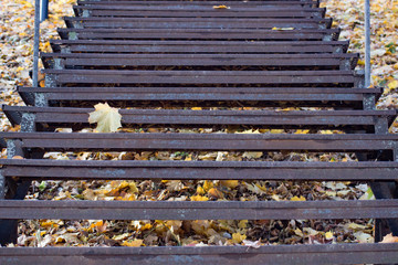 Metal staircase with yellow leaves in autumn