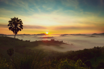 Silhouettes of trees in foreground and fog in sunrise at Khao Kho mountain that one of the best attractions at Phetchabun province in Thailand.