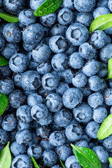 Water drops on ripe sweet blueberry. Fresh blueberries background with copy space for your text. Vegan and vegetarian concept. Macro texture of blueberry berries.Texture blueberry berries close up © bukhta79
