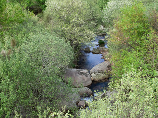 A natural river flowing through stones, bushes and trees in the countryside of Portugal.
