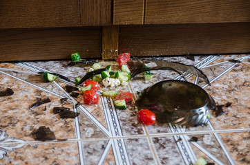 broken plate on floor