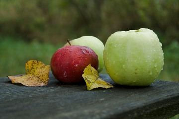 Near the Village of Malakhovo_79