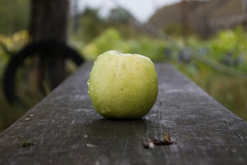 Near the Village of Malakhovo_80