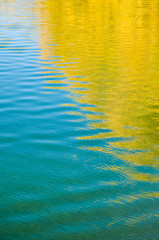 Fototapeta na wymiar abstract reflection of orange trees in the water
