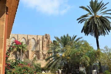Obraz premium Paradise palm garden, Cyprus, Famagusta