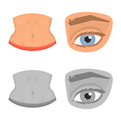 Vector illustration of body and part icon. Set of body and anatomy stock symbol for web.