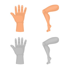 Isolated object of body and part symbol. Set of body and anatomy stock symbol for web.