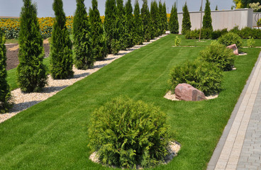 Obraz premium Design of landscaping in the garden, park, square, recreation area