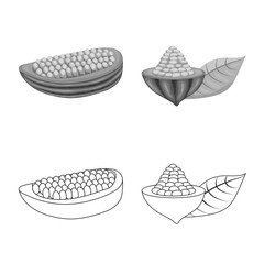 Isolated object of food and yummy sign. Collection of food and brown vector icon for stock.