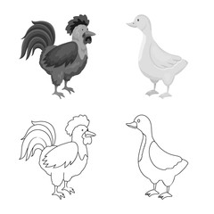 Isolated object of breeding and kitchen sign. Collection of breeding and organic vector icon for stock.
