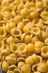 Dry Organic Macaroni Shells