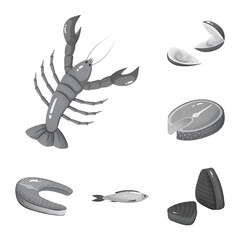 Fototapeta premium Isolated object of seafood and healthy sign. Collection of seafood and ocean vector icon for stock.