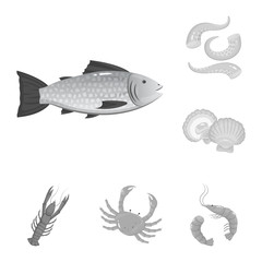 Isolated object of seafood and healthy sign. Set of seafood and ocean stock symbol for web.