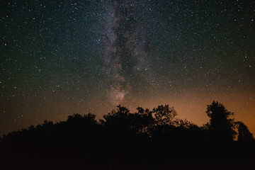 Fototapeta na wymiar Night sky with milky way over the forest summer night