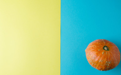 Orange pumpkin in the corner on a blue background. Flat background