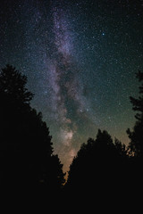 Night sky with milky way over the forest summer night