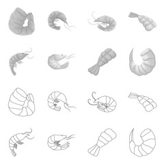 Vector illustration of appetizer and ocean sign. Collection of appetizer and delicacy stock symbol for web.