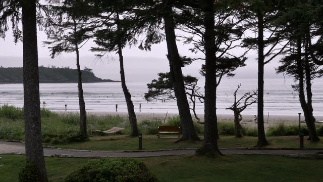 Wide, slow motion, people on a beach seen through the trees, Vancouver Island