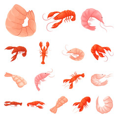 Vector illustration of shrimp and crab icon. Set of shrimp and sea stock symbol for web.