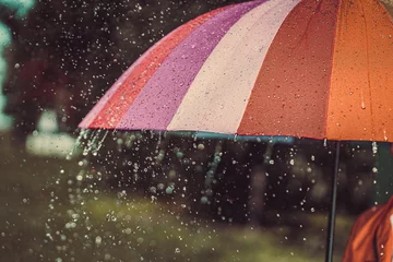 Fotobehang Bright colored rainbow umbrella in the rain autumn weather © Goffkein