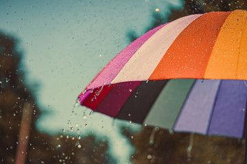 Bright colored rainbow umbrella in the rain weather - obrazy, fototapety, plakaty