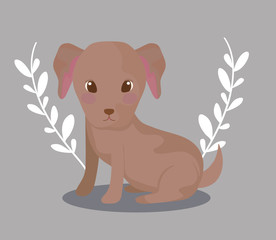 cute puppy dog pet baby animal