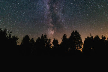 Night sky with milky way over the forest summer night