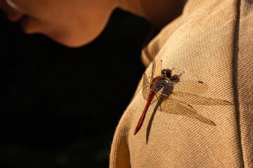 Dragonfly on womans shoulder