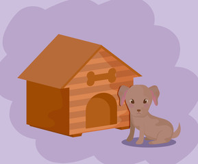 cute puppy dog animal baby with house