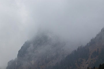 fog in mountains