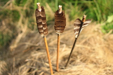 Bow arrows handmade archery 