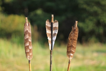 Bow arrows handmade archery