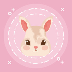 Obraz na płótnie Canvas head of cute rabbit baby animal