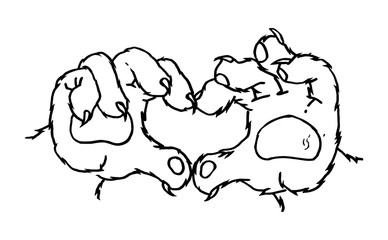 Cat paw show heart. Vector black vintage illustration