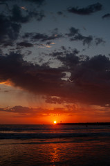 Naklejka na ściany i meble Sultry Sunset at Dog Beach in Ocean Beach
