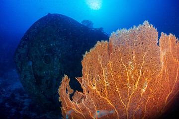 A large underwater shipwreck in the Andaman Sea