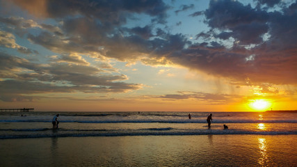 Naklejka na ściany i meble Sultry Sunset at Dog Beach in Ocean Beach