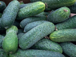 Background of cucumbers lying slide Green cucumbers on shelf in supermarket. Organic eating. Agriculture retailer. Farmer's food.