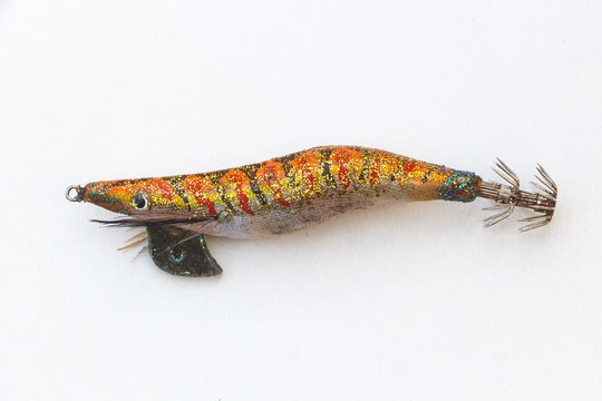 Hard bait made for fishing cephalopod like squid