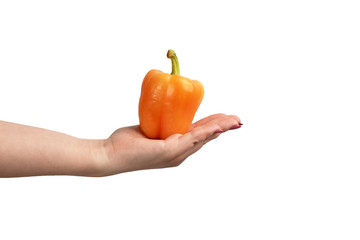 Orange bell peppers in hand on a white background.