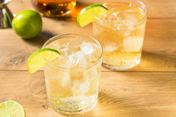 Homemade Rum and Tonic Cocktail