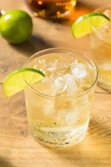 Homemade Rum and Tonic Cocktail