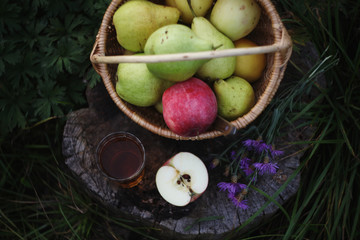 apple juice and wicker basket full of apples amd pears over summer nature background