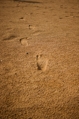 footprints in the yellow sand