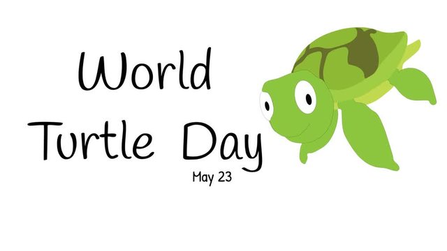 World Turtle Day banner illustrated on white.