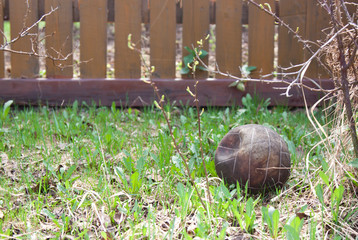 old ball on spring grass against a wooden fence