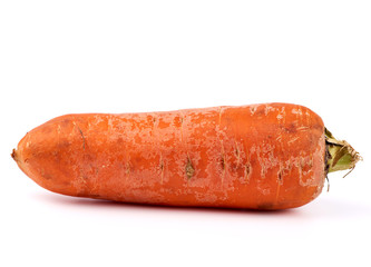 large unwashed whole orange carrots isolated on a white background