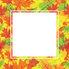 Frame of colorful autumn leaves. Isolated on white background.Vector illustration.